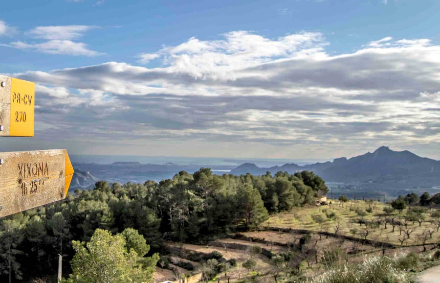 La Indicación Geográfica Protegida en el turrón de Jijona