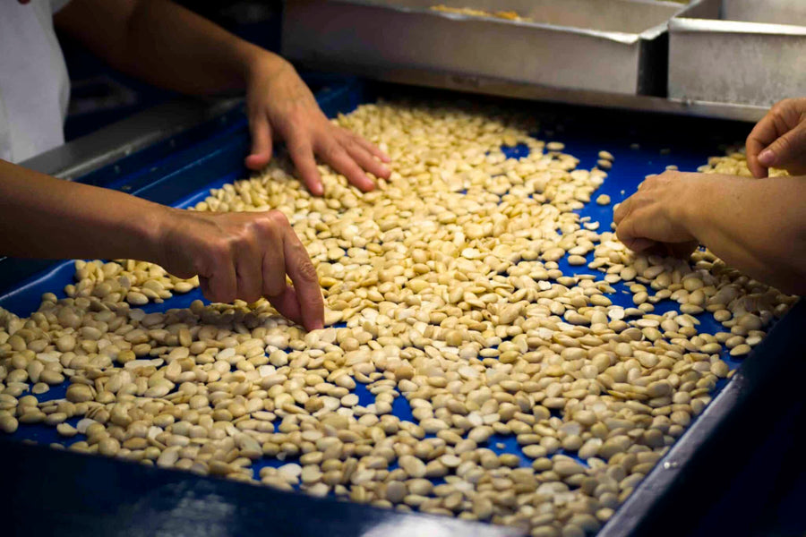 La almendra: súperalimento con siglos de tradición