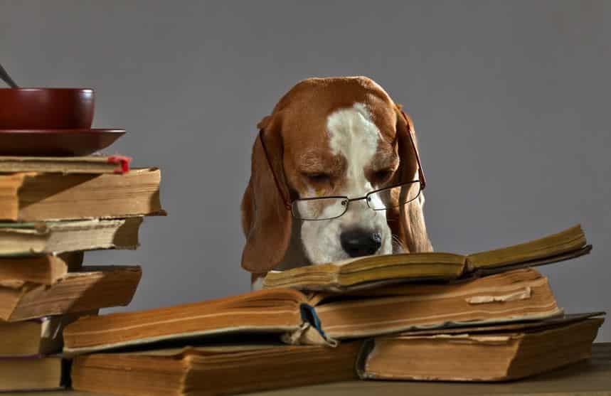 El turrón en la literatura