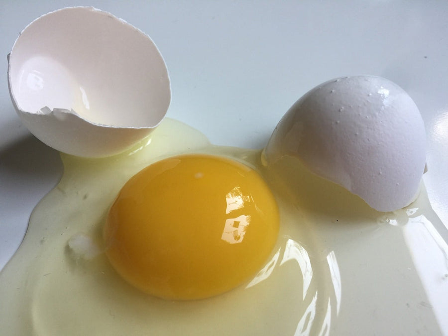 Clara de huevo para hacer recetas dulces