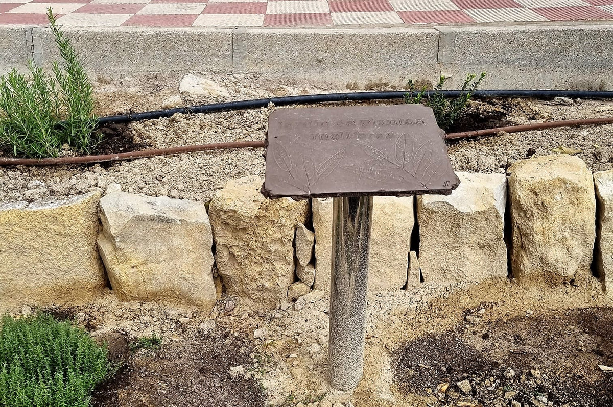Ya tenemos nuestro jardín de plantas melíferas