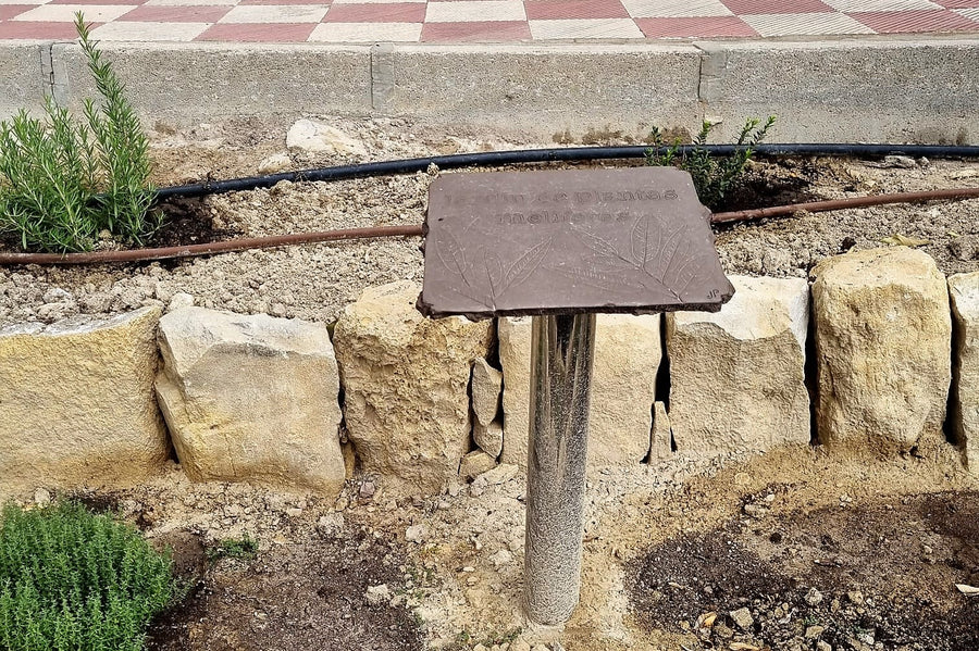 Ya tenemos nuestro jardín de plantas melíferas