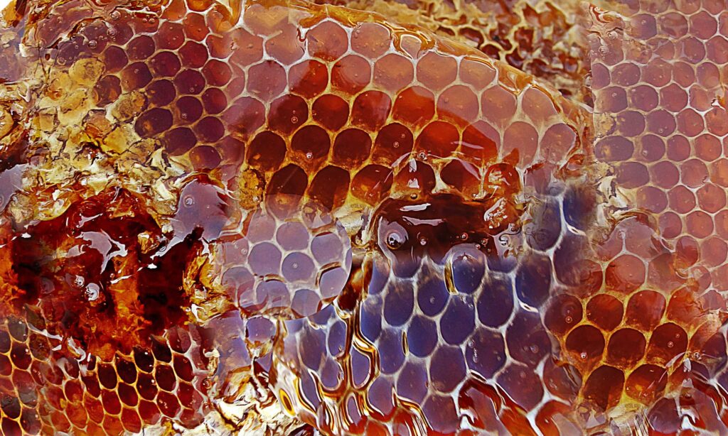 beneficios de la miel de azahar turrones pico