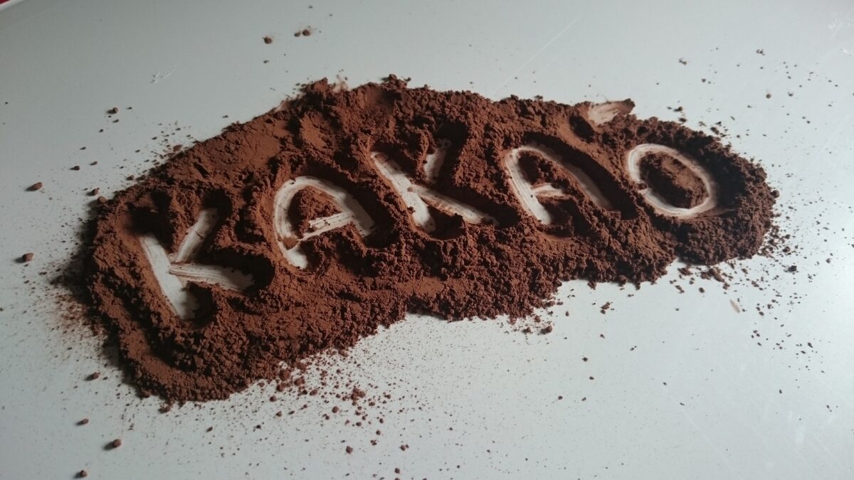 Cacao. Propiedades, beneficios para la salud y usos