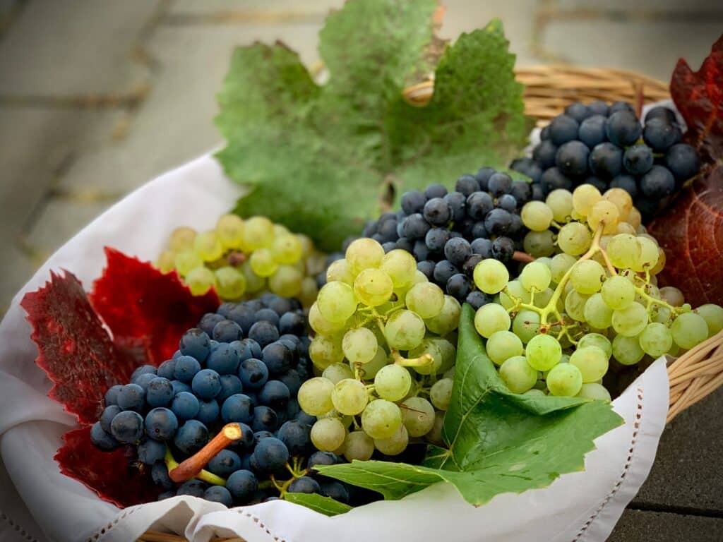 Frutas y verduras de otoño