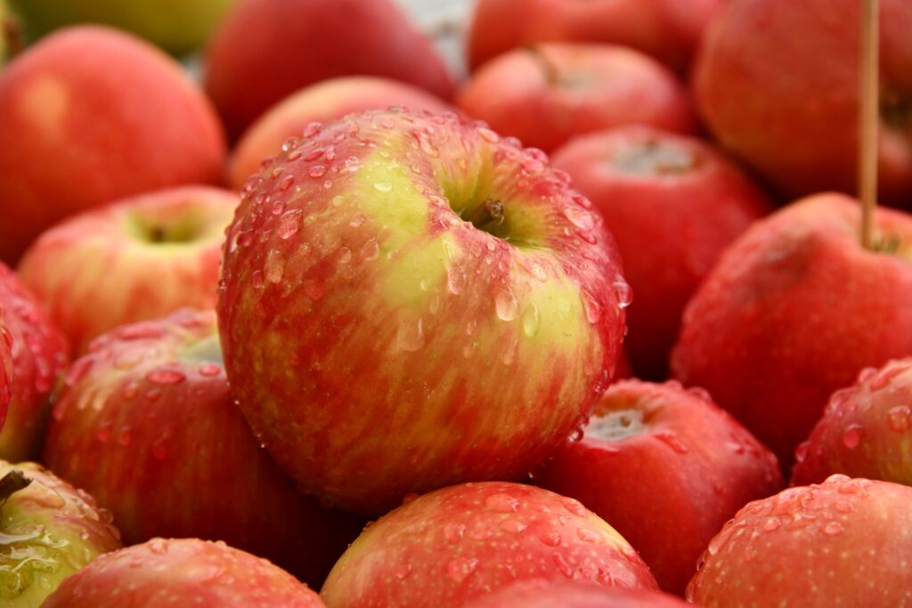 Manzanas. Fruta de temporada de otoño